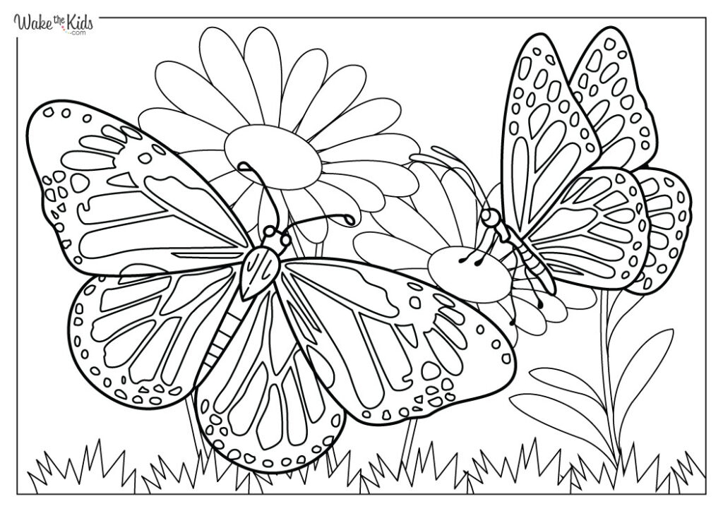 monarch butterfly activity sheets printable