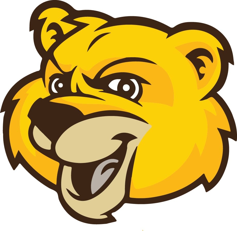 Mountain lion colored head jpg Sugars Mascot Costumes