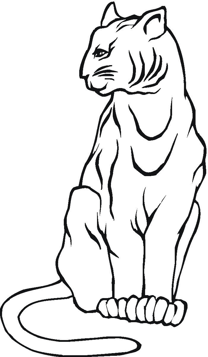 Mountain Lion Coloring Online Clipart Panda Free Clipart Images