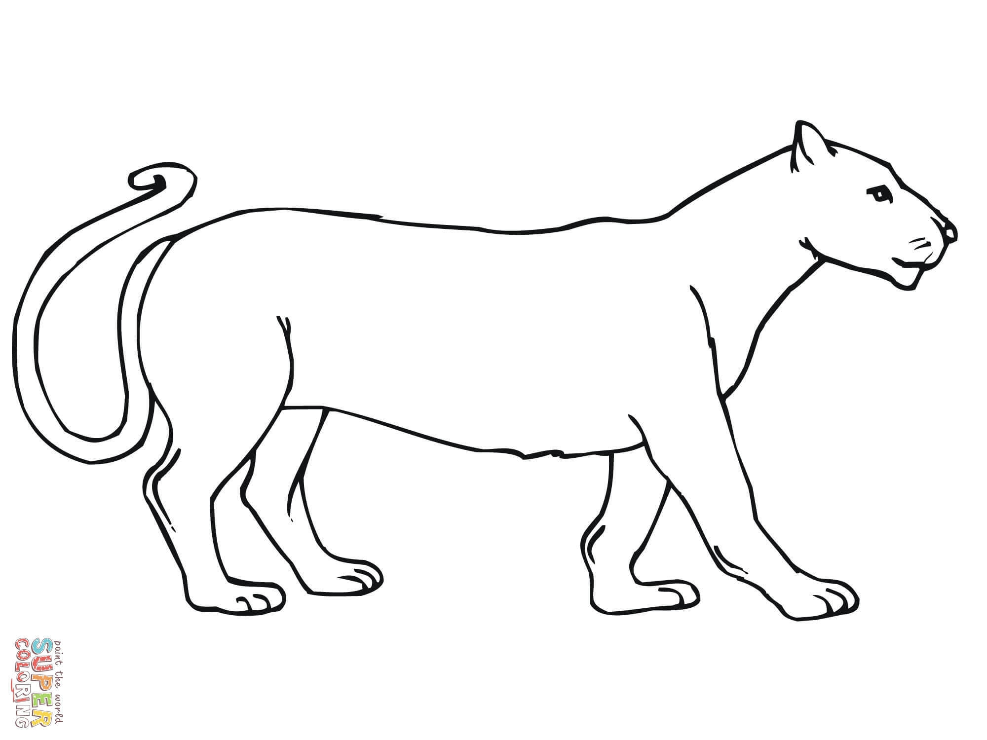 Mountain Lion Coloring Page Coloring Home