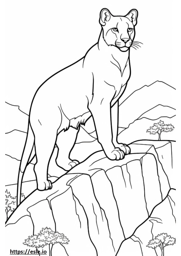 Mountain Lion Coloring Pages Free Printable