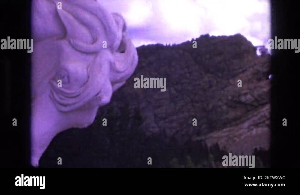 Mountain Lion Eye Color Stock Videos Footage HD And 4K Video Clips 