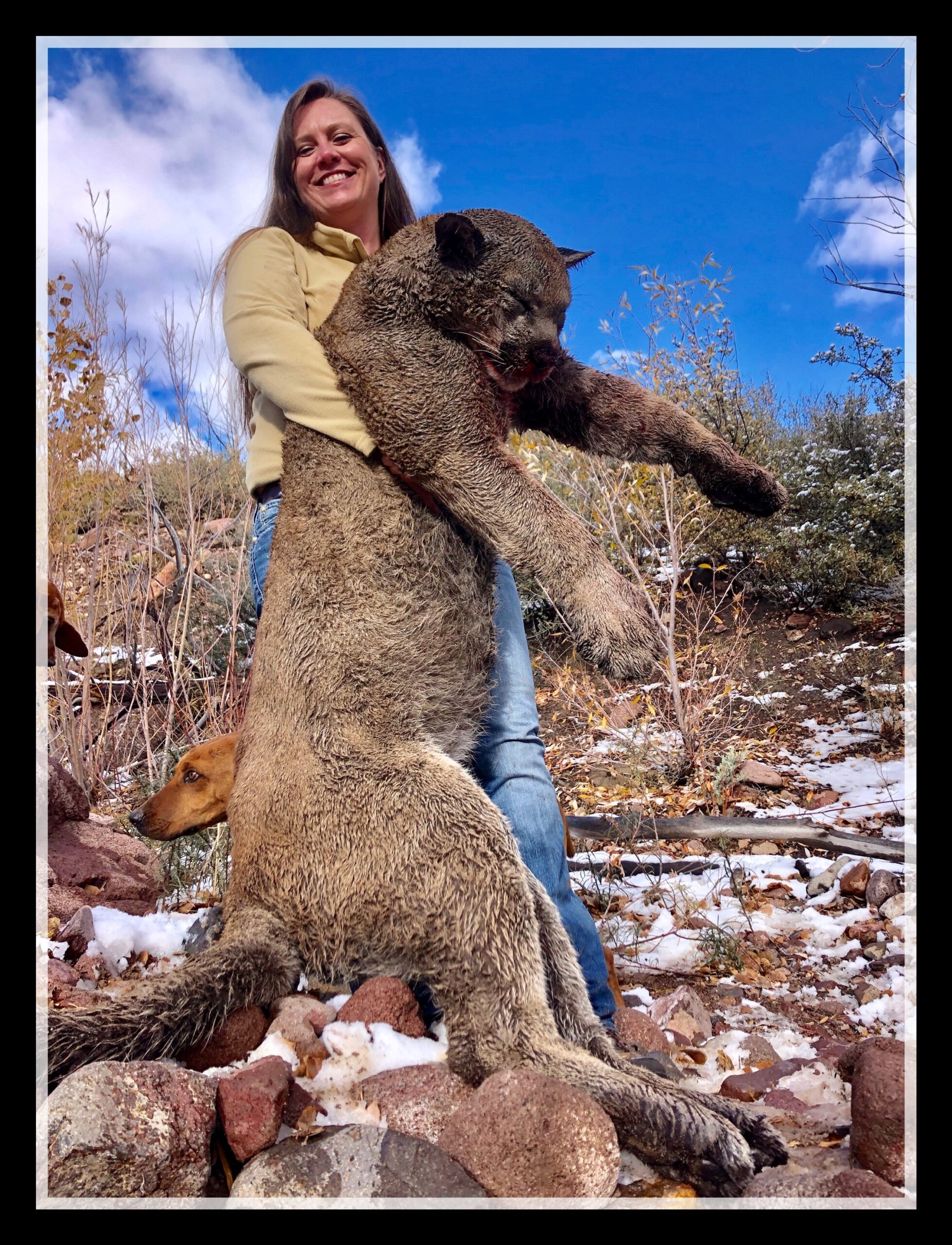 Mountain Lion Hunts King Of Eights Outfitters