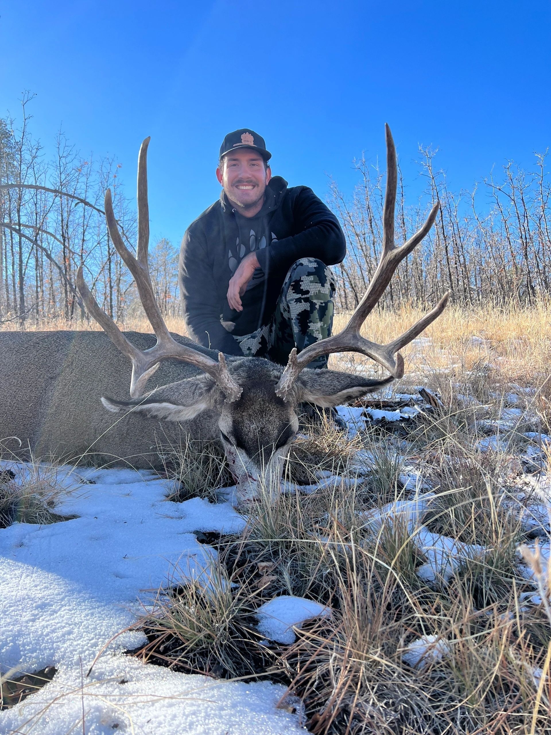 Mountain Lion Hunts