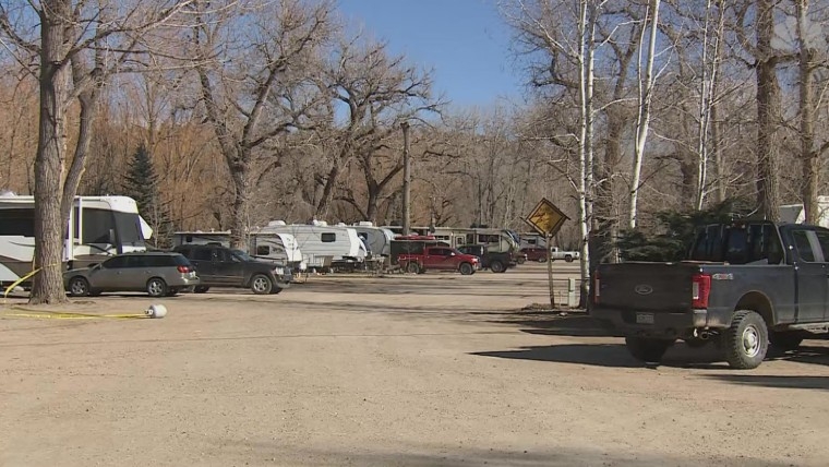 Mountain Lion Killed After Attacking Colorado Resident Deputy