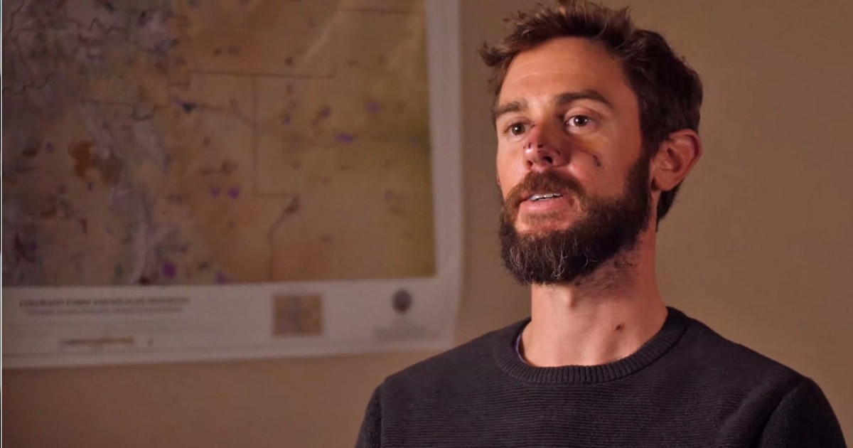 Mountain Lion Killed By Colorado Jogger Was An Orphaned Kitten
