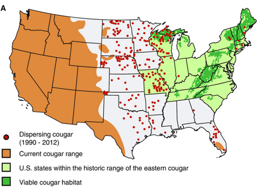 Mountain Lion Range Map Caril Cortney