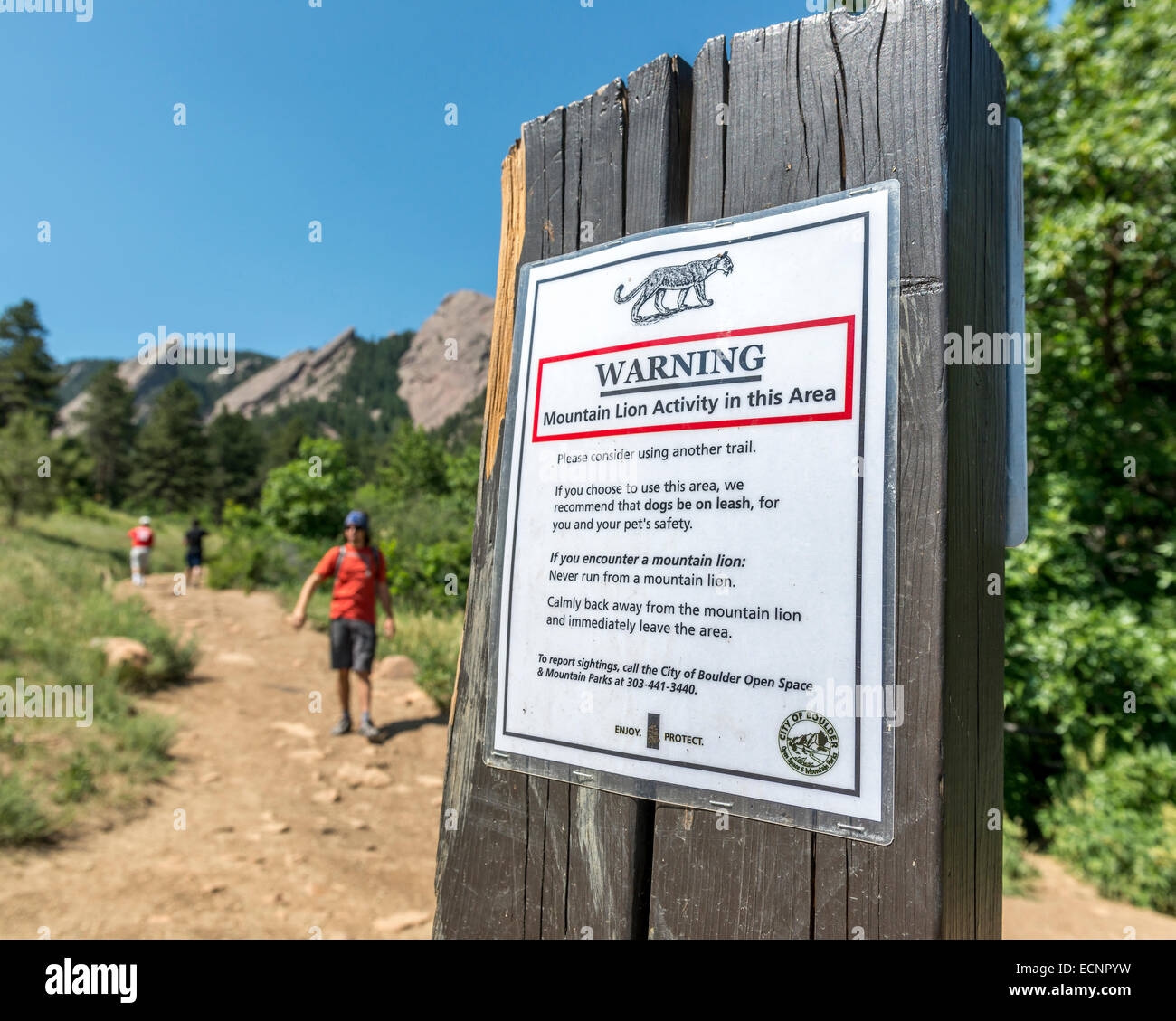 Mountain Lion Warning Sign Chautauqua Park Boulder Colorado USA 