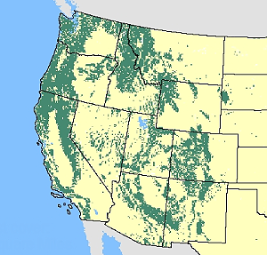Mountain Lions In Utah Map Aurie Shaylyn