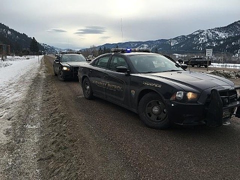 Mountain Lions Killed Trapped After Kills Near Missoula
