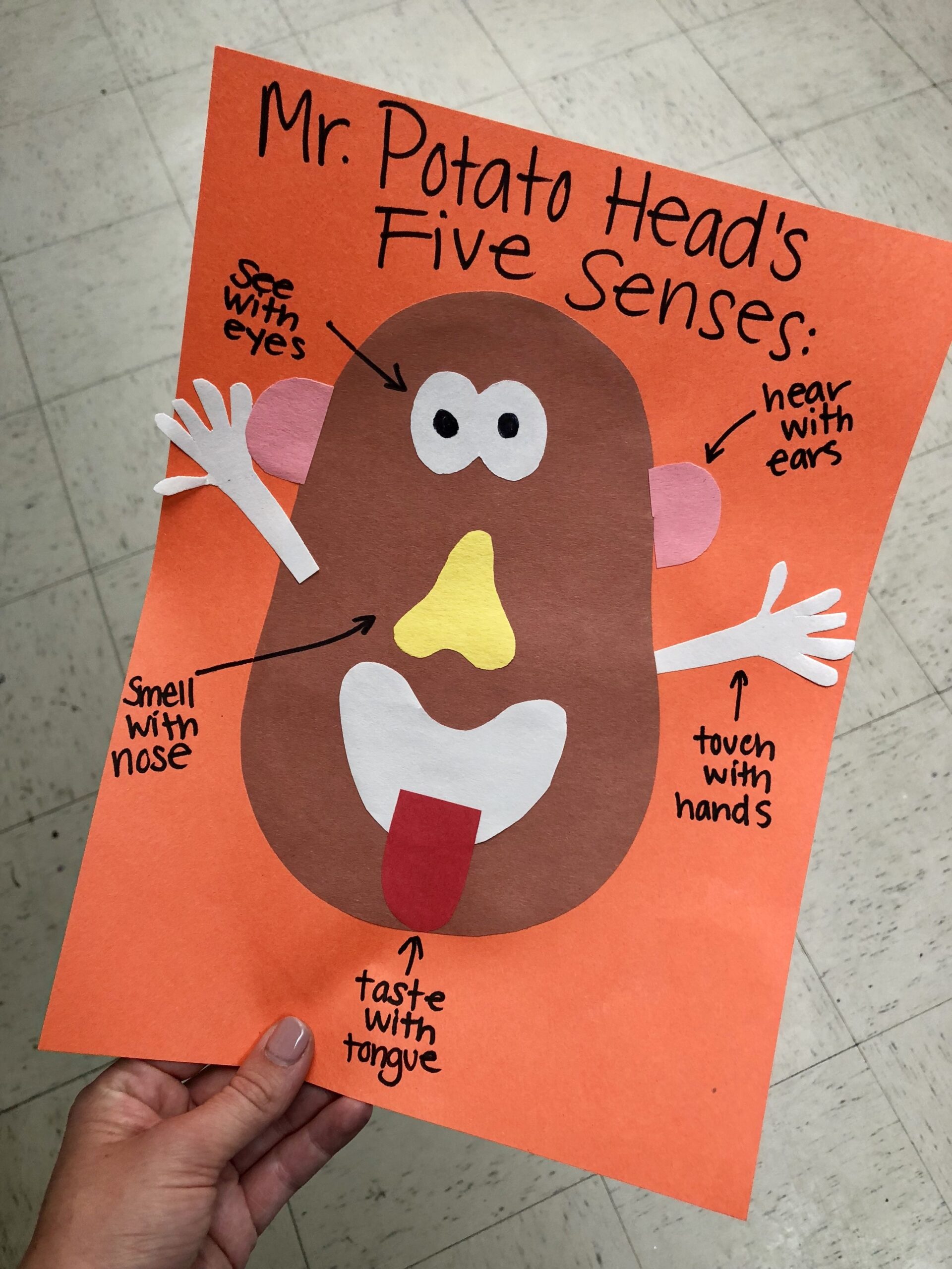 Mr Potato Head Printable Activities Printable Word Searches
