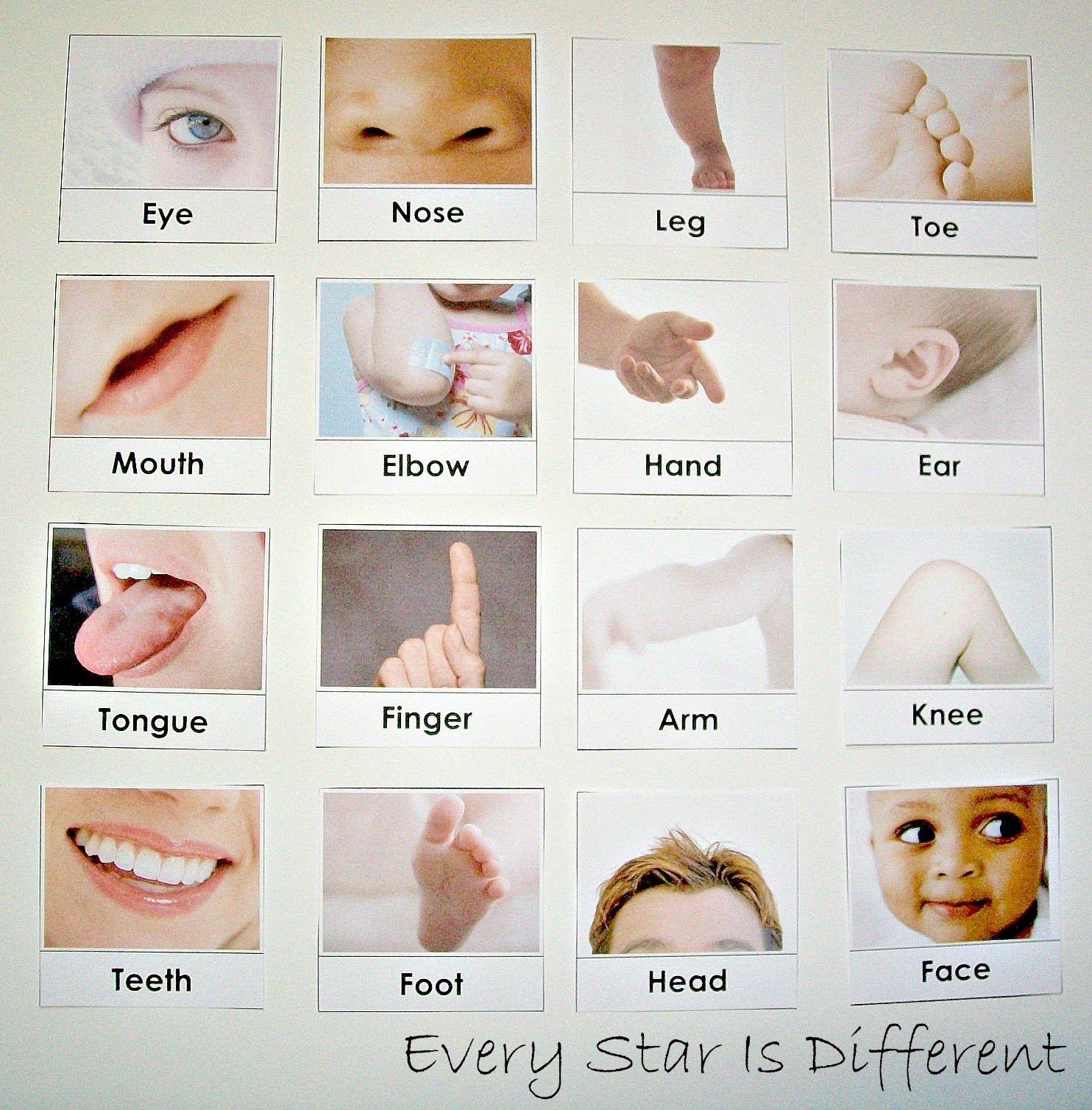 My Body Activities For Tots Preschoolers W Free Printables Artofit
