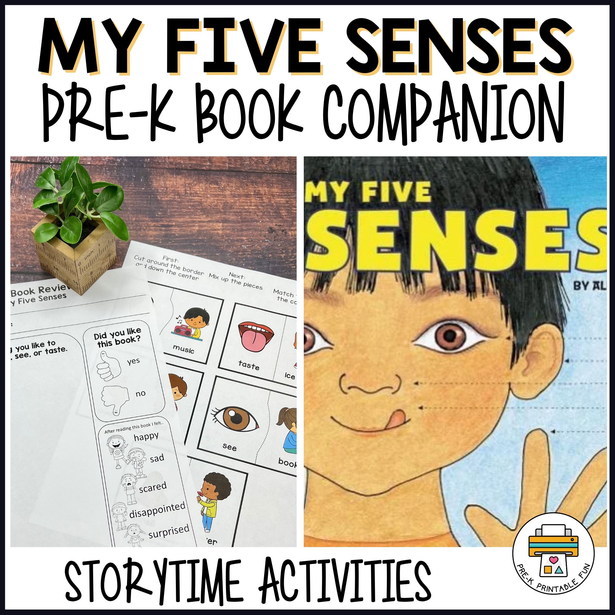 My Five Senses Pre K Book Companion Storytime Activities
