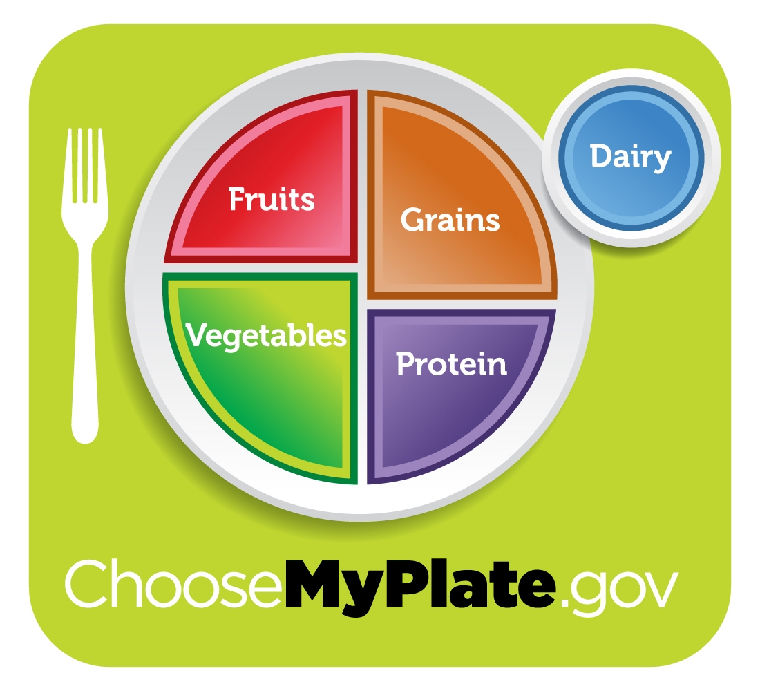 My Plate Printable Activity