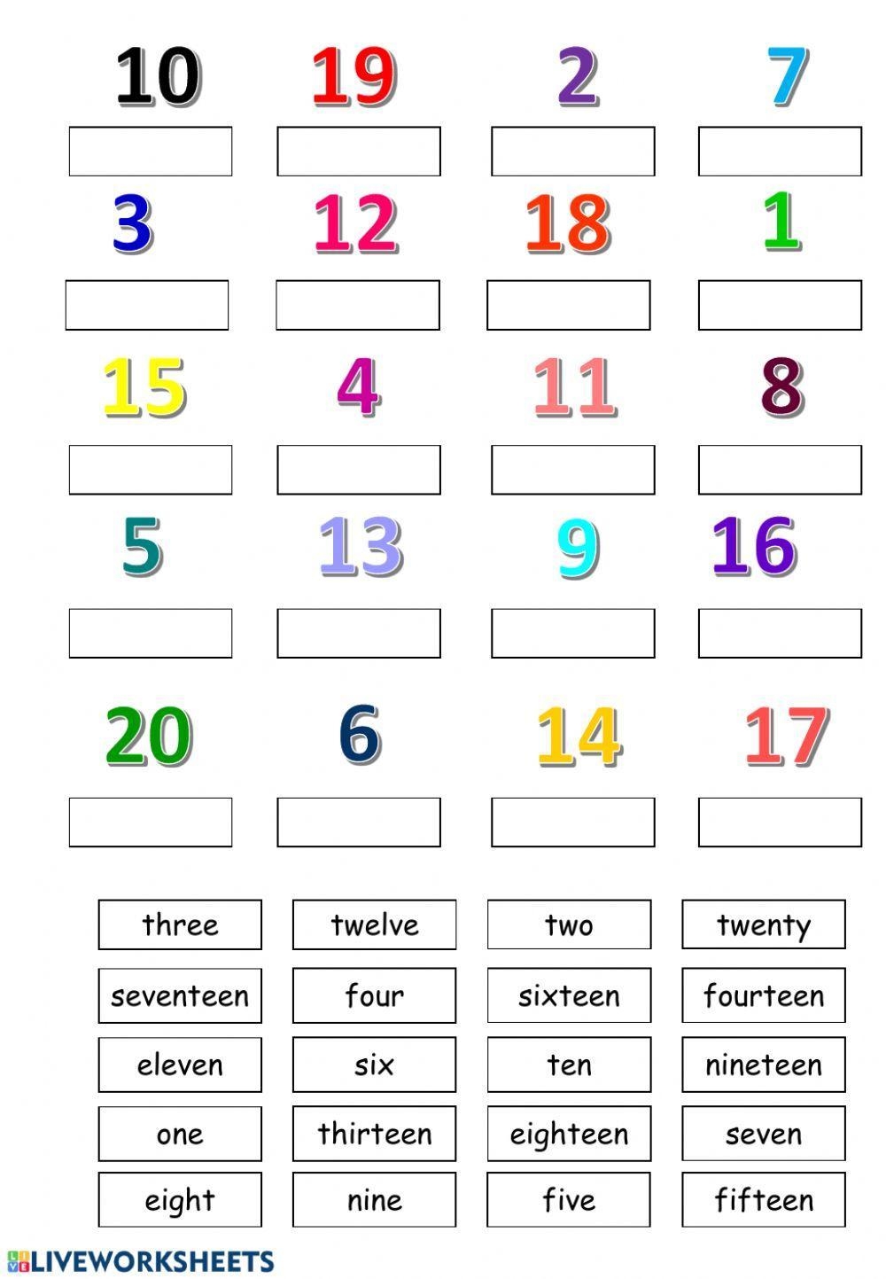 Naming Numbers Worksheets For Grade 1 Kidpid Worksheets Library
