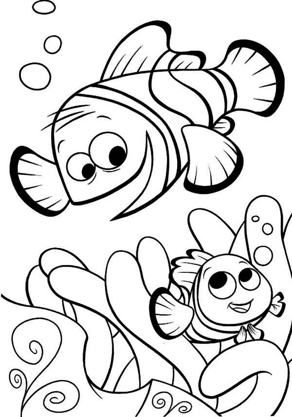 nemo printable activities