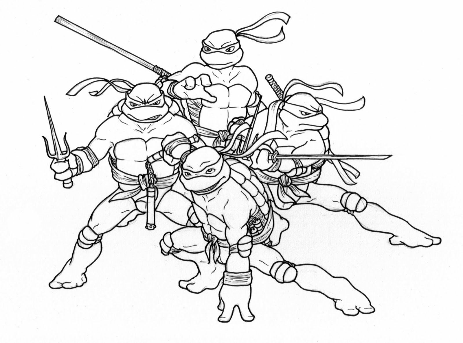 printable pictures of turtles