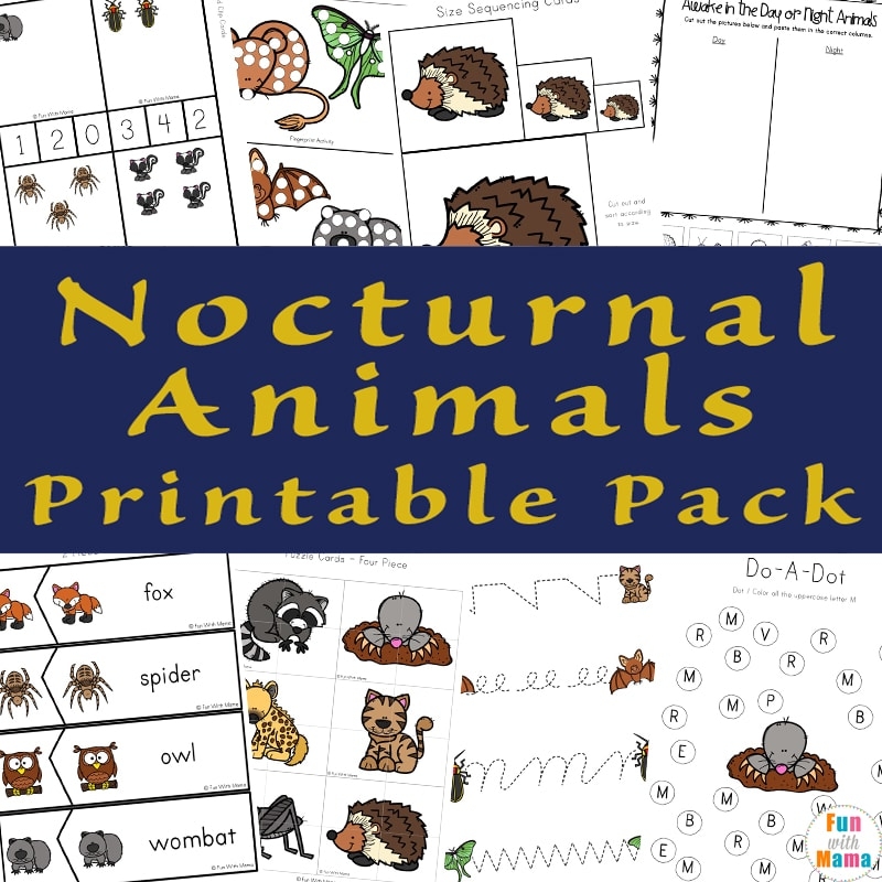 Nocturnal Animals Activities Fun With Mama Shop