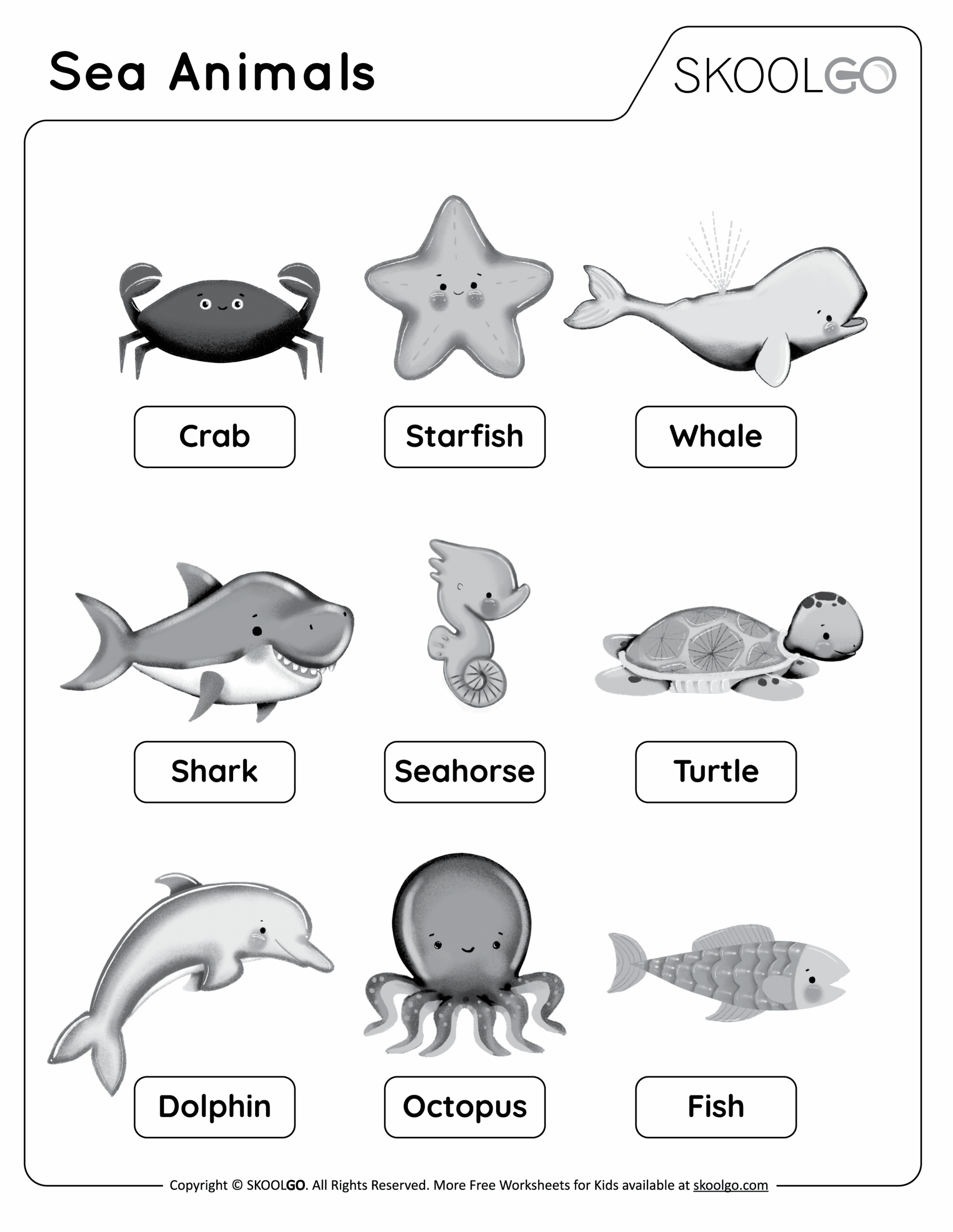 Ocean Animals Pictures Printable