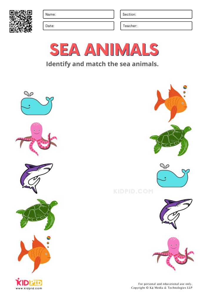 Ocean Animals Pictures Printable