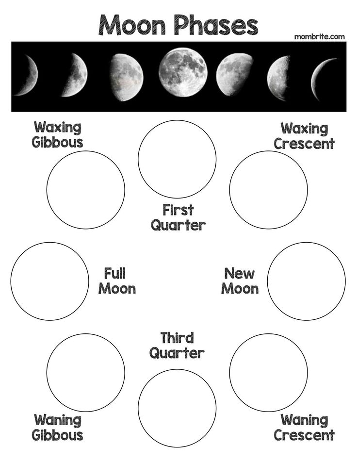 Oreo Cookie Moon Phases Activity Free Worksheet Mombrite Solar 