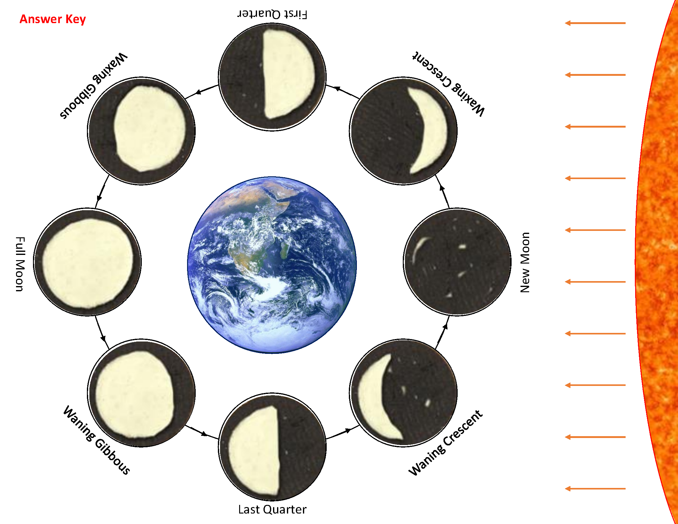 Oreo Moon Phase Activity STEM Supplies