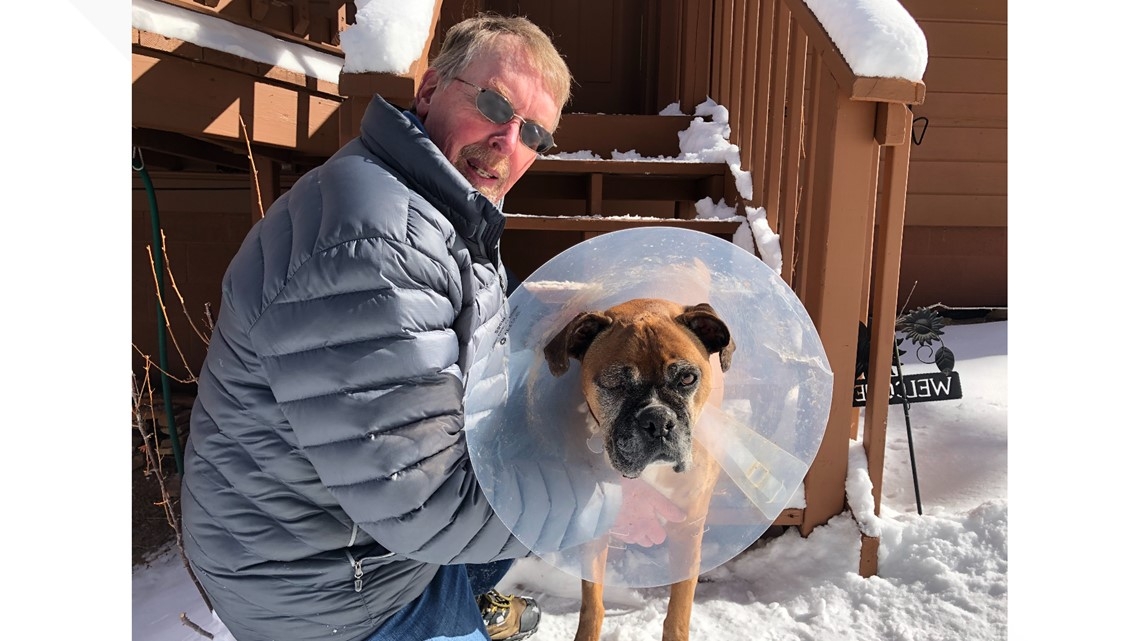 colorado man fights off mountain lion