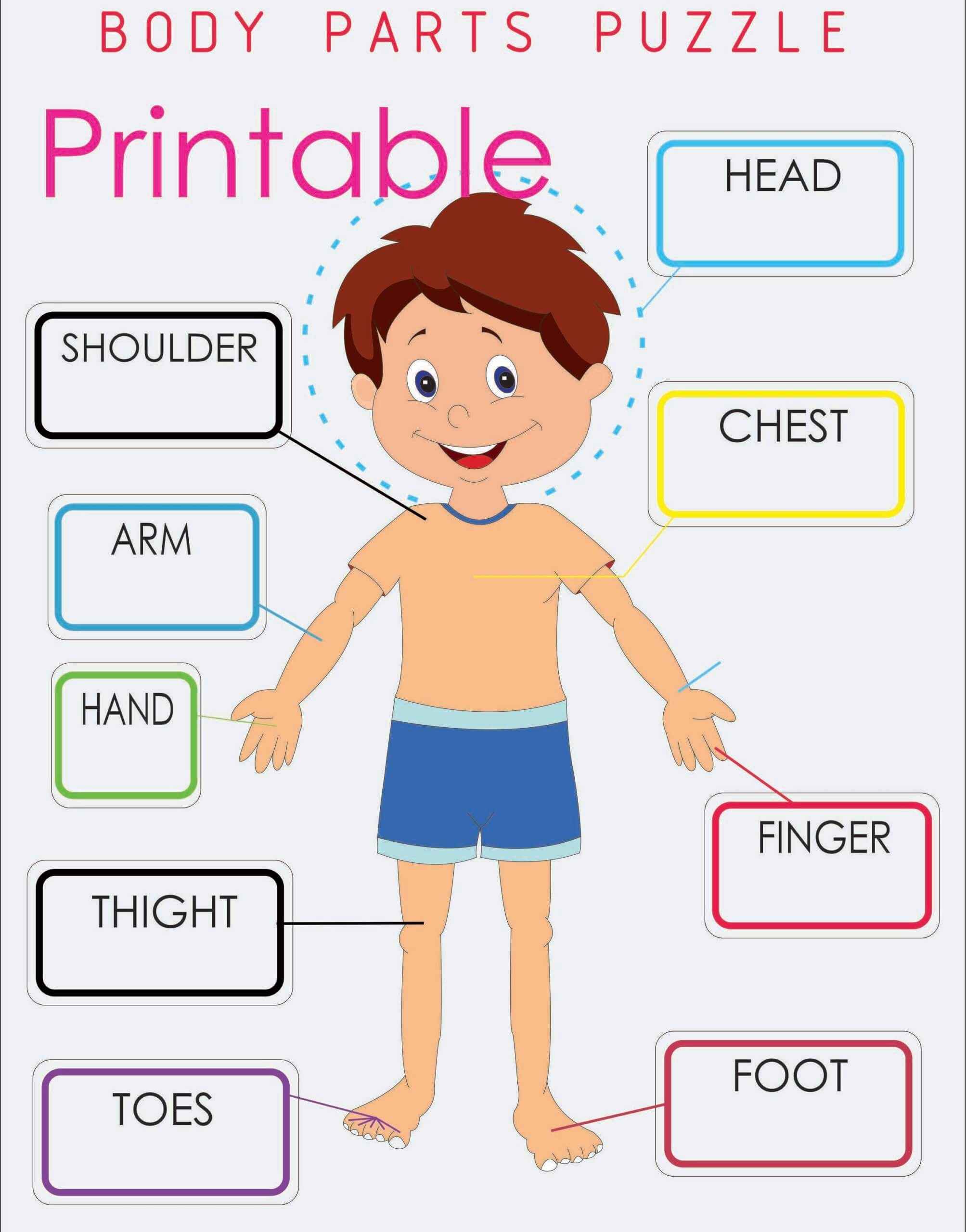 free printable body parts game