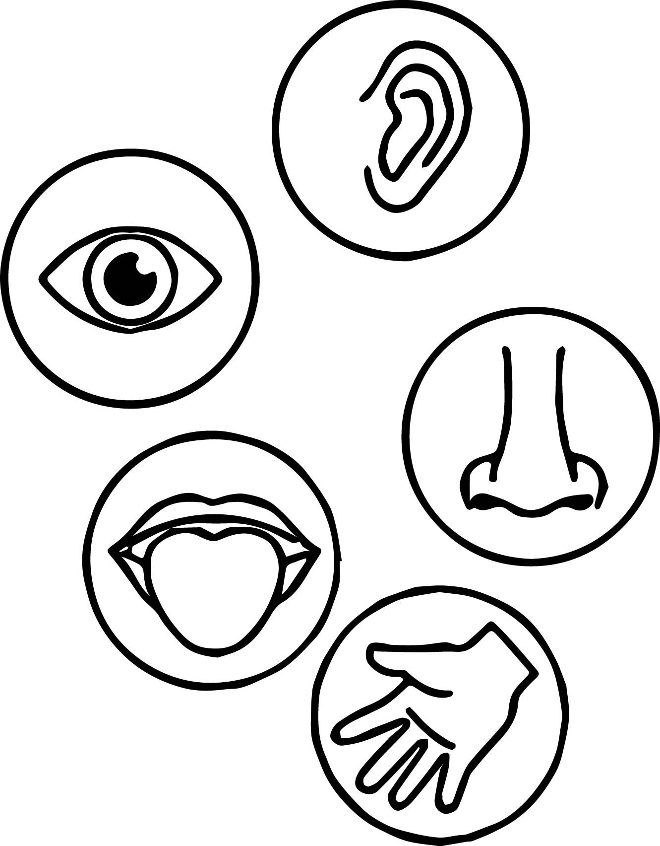 Printable 5 Senses Printable Word Searches