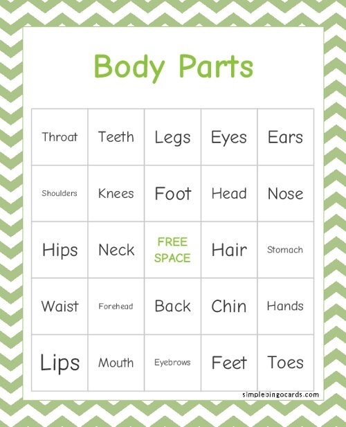 Printable Body Parts Bingo