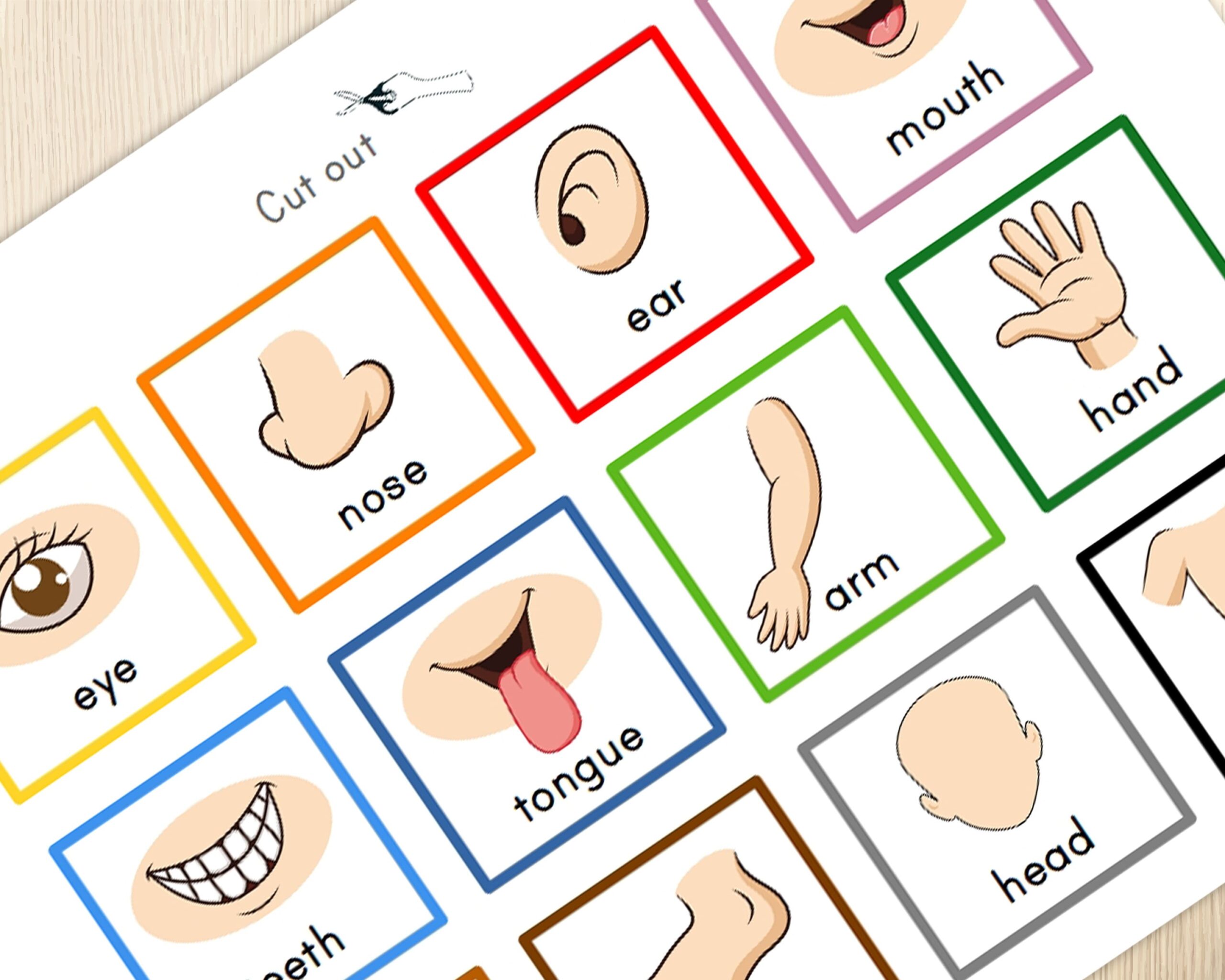 Printable Body Parts Matching Game Lesson Plans Vrogue co