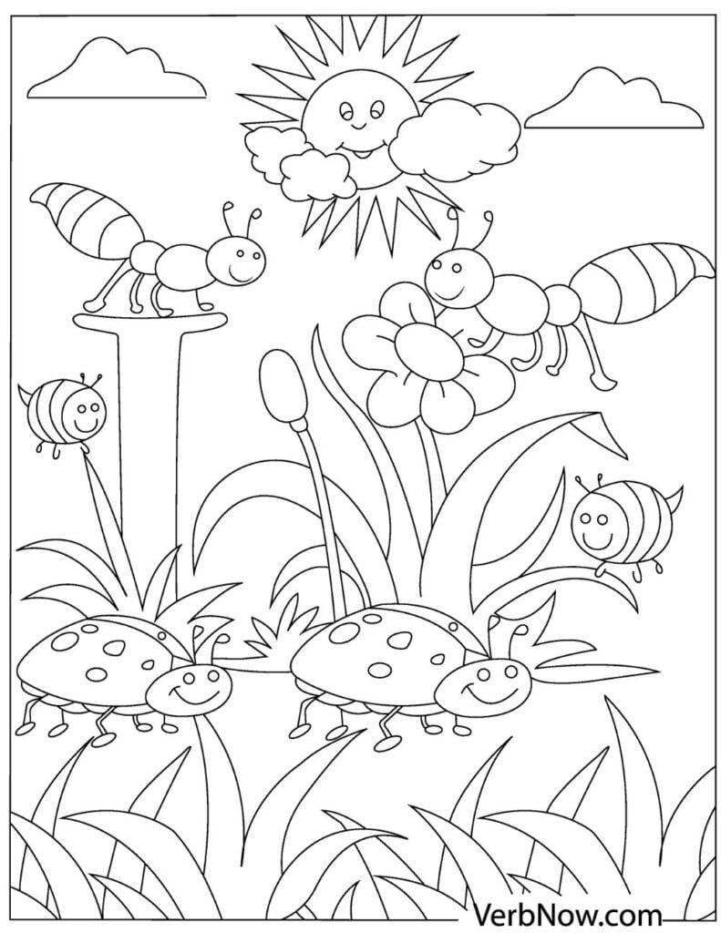 Printable Bugs And Insects