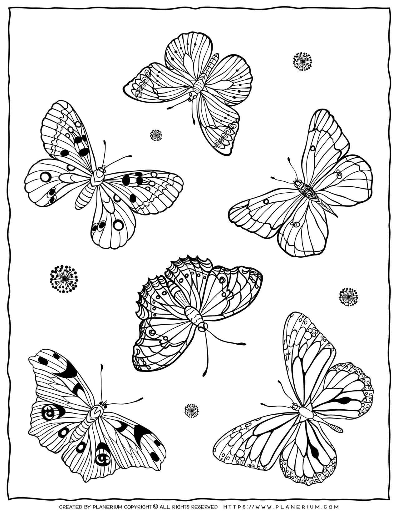 printable pictures of butterflies