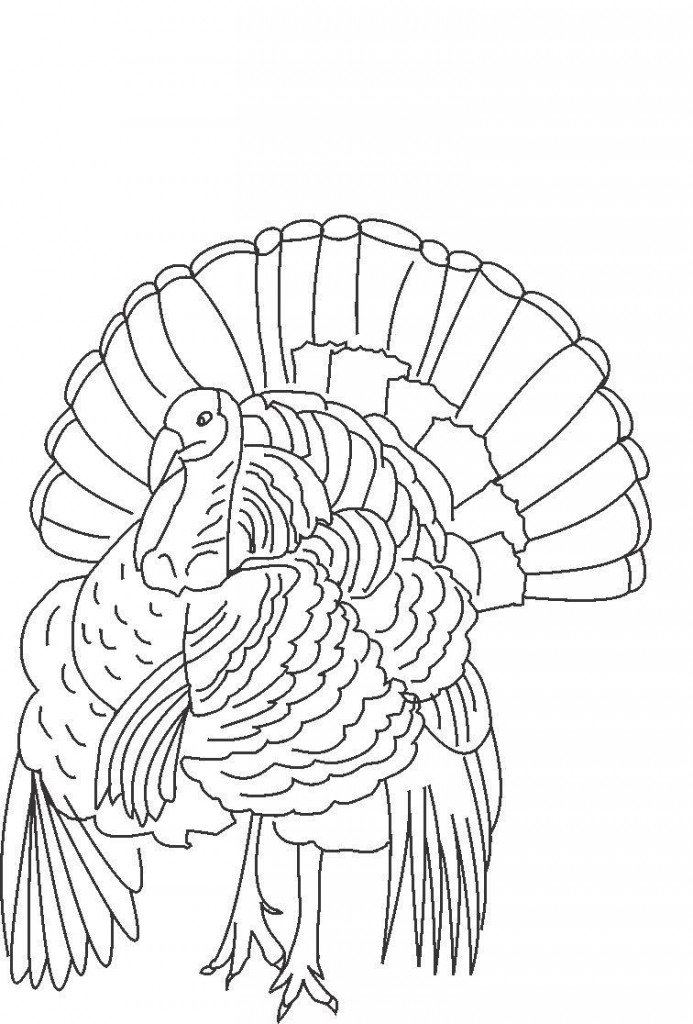 Printable Coloring Pictures Of Turkeys And Deer Coloring Pages