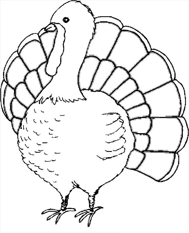 Printable Coloring Turkeys Printable Word Searches