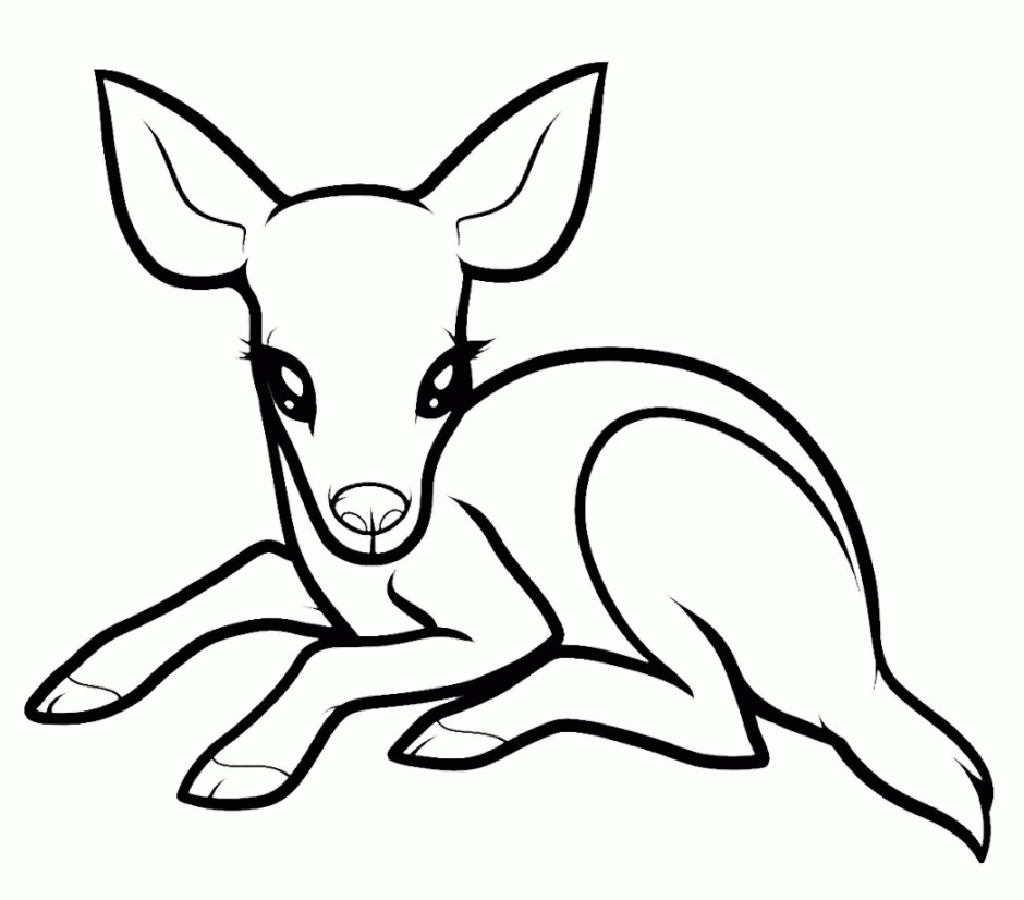 Printable Deer Coloring Pages Coloring Home
