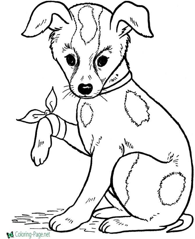 printable coloring pictures of dogs