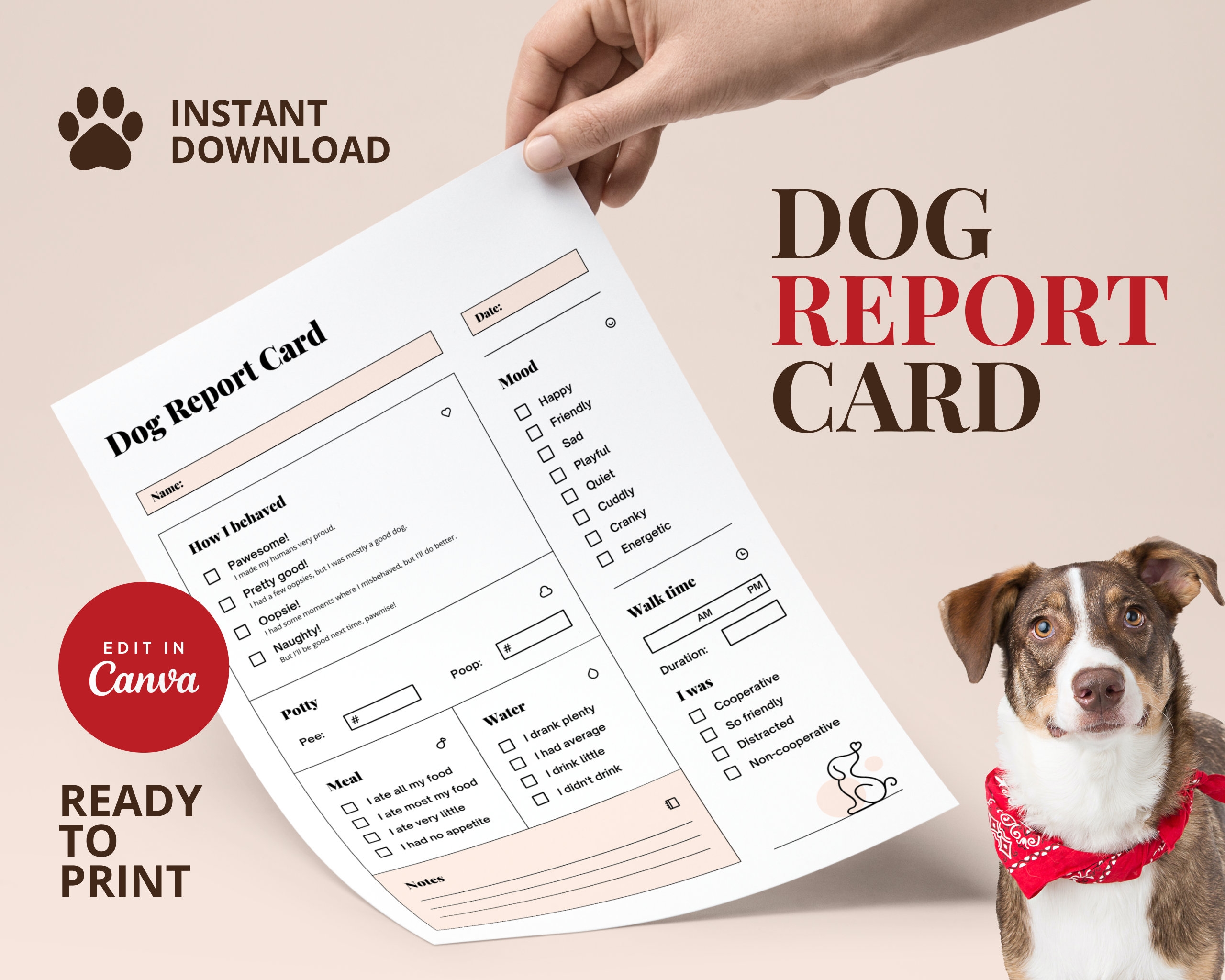 Printable Dog Report Card Template For Pet Sitters And Doggie Daycares 