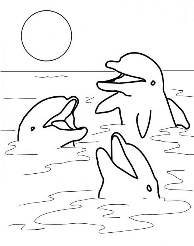 printable dolphin pictures to color
