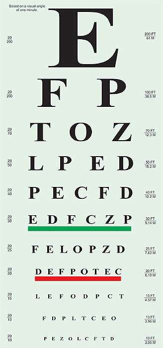 Printable Eye Chart Etsy de Worksheets Library