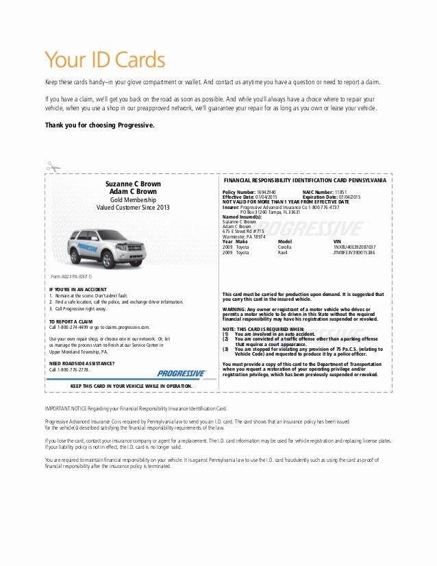 Printable Fillable Fake Car Insurance Card Template