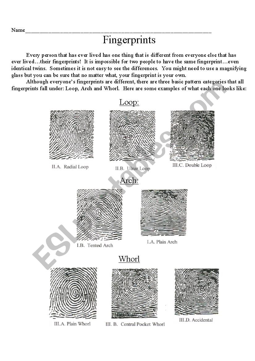 Printable Fingerprint Activity Worksheet Printable Calendars AT A GLANCE