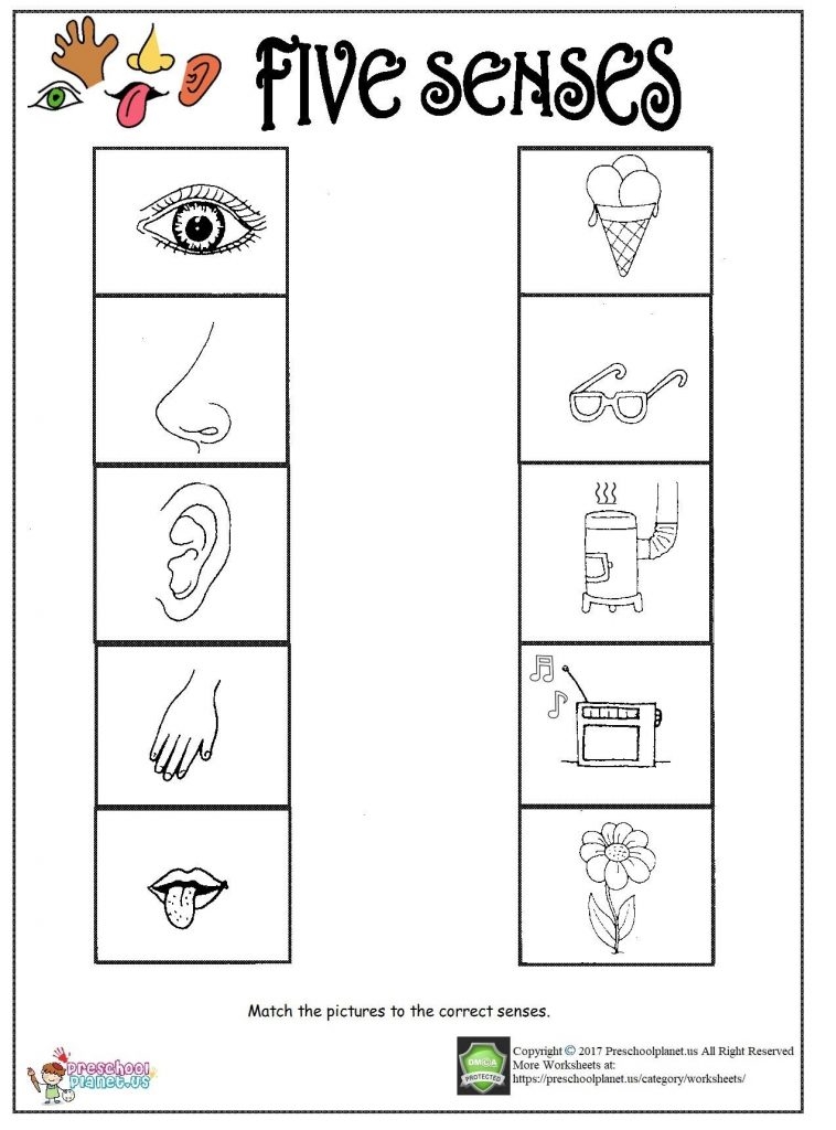 Printable Five Senses Worksheet Preschoolplanet