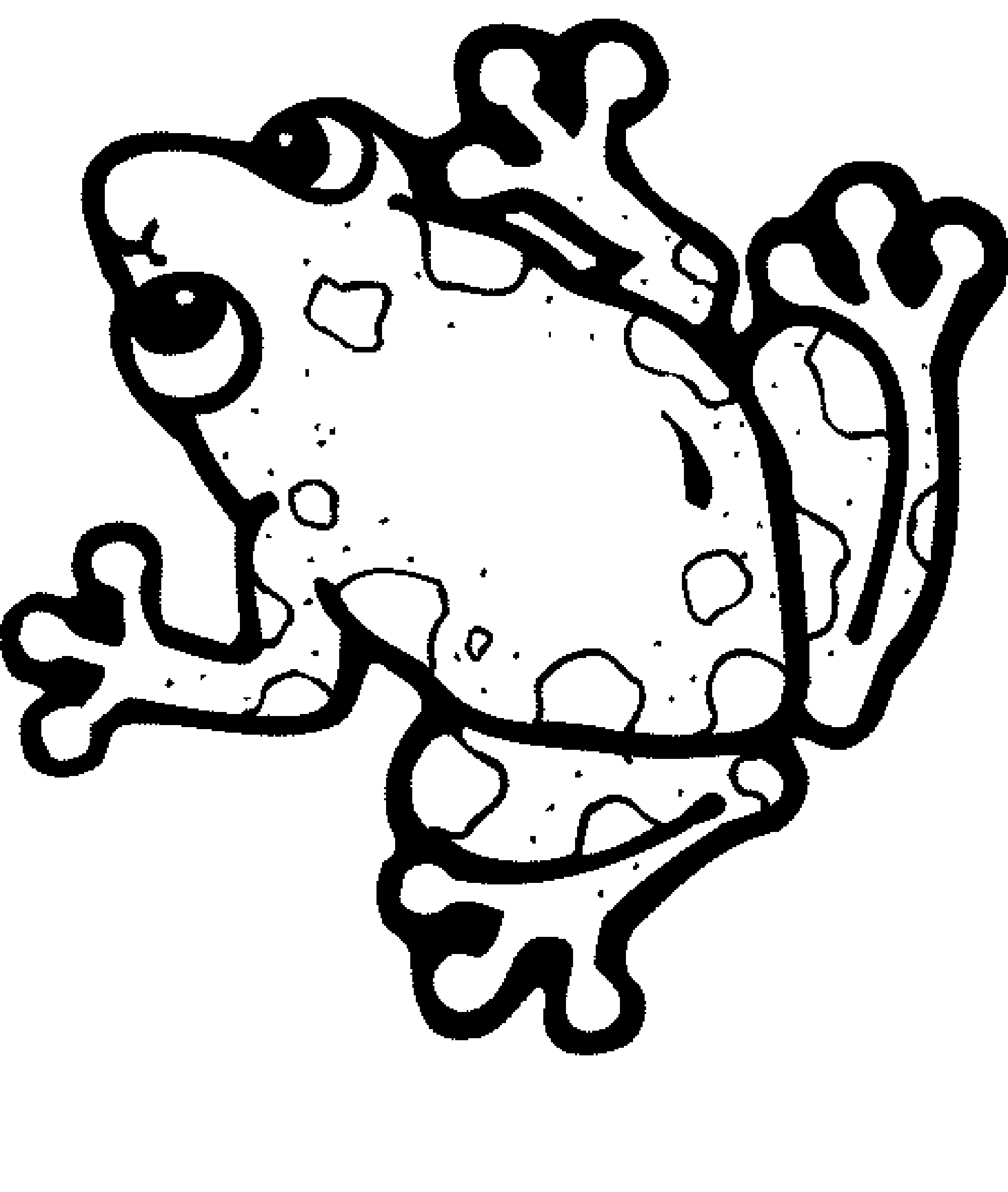 Printable Frog Printable Word Searches