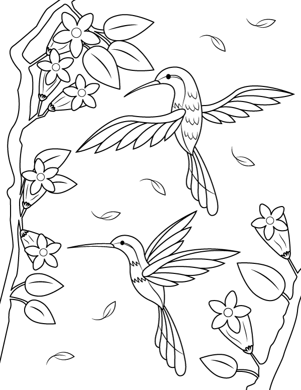 Printable Hummingbirds Coloring Page