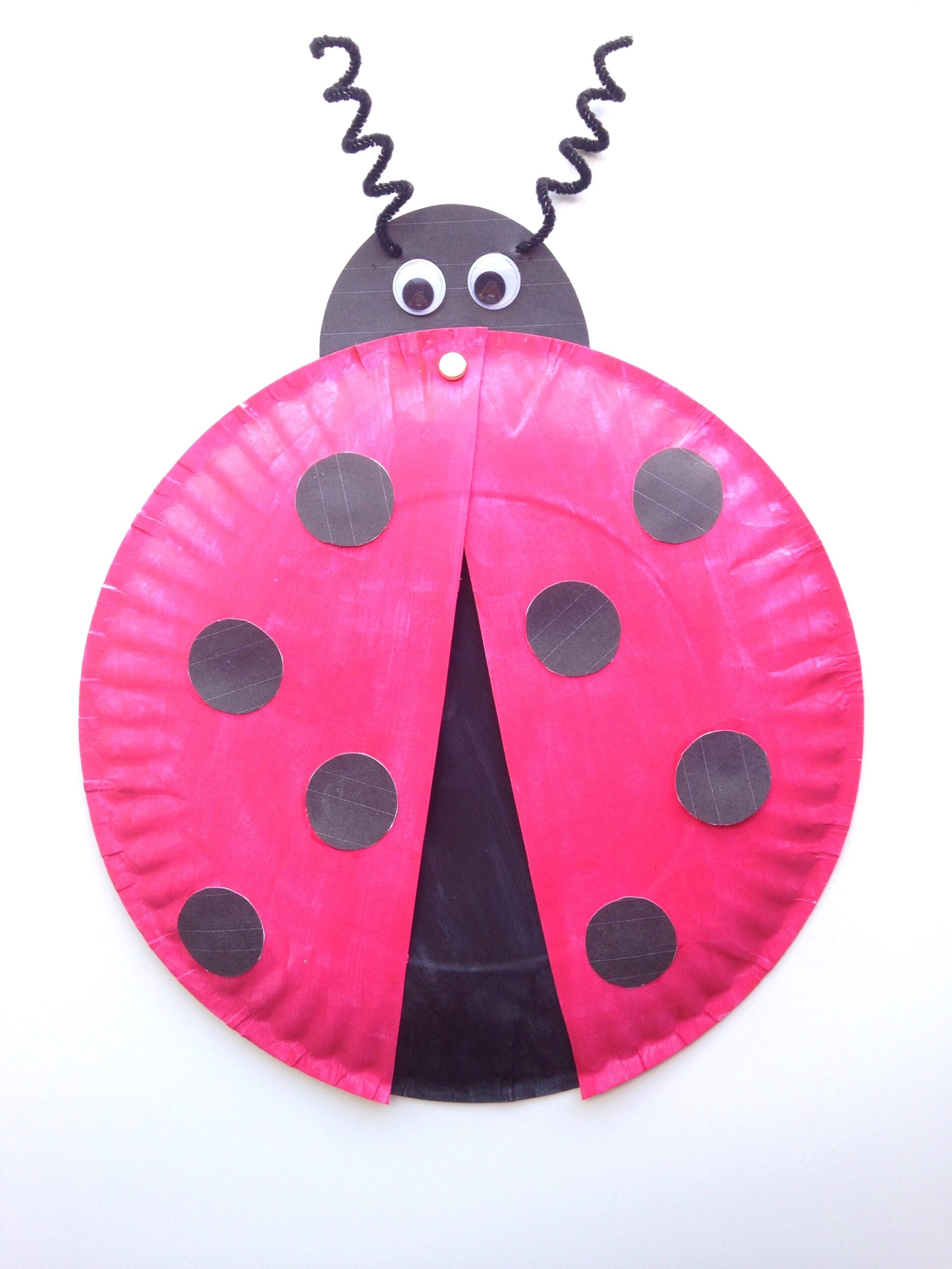 ladybug printable pictures