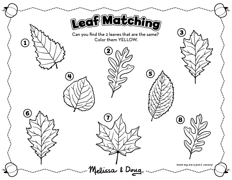 Printable Leaf Activities
