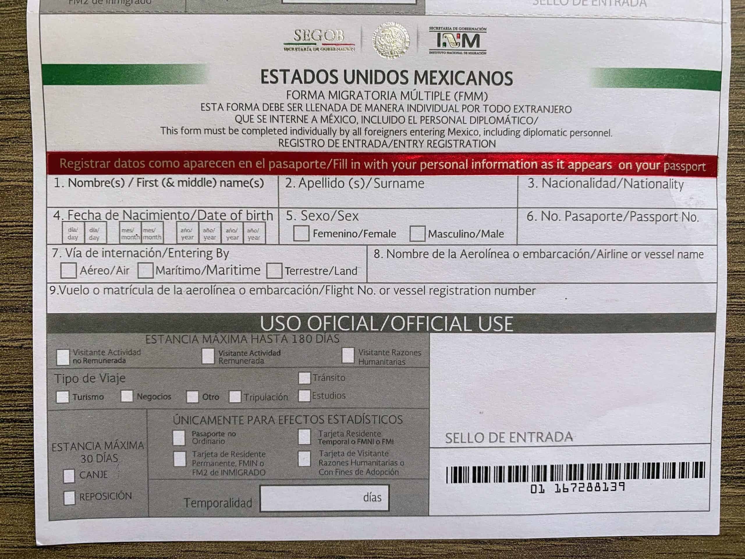 Printable Mexico Fmm Form English
