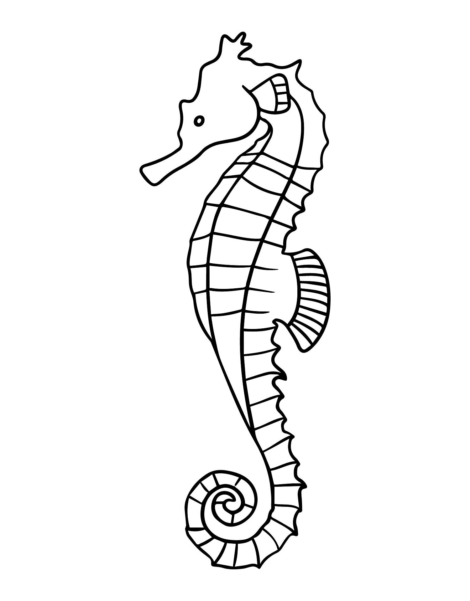 Printable Mister Seahorse Template Coloring Page Seahorse Drawing