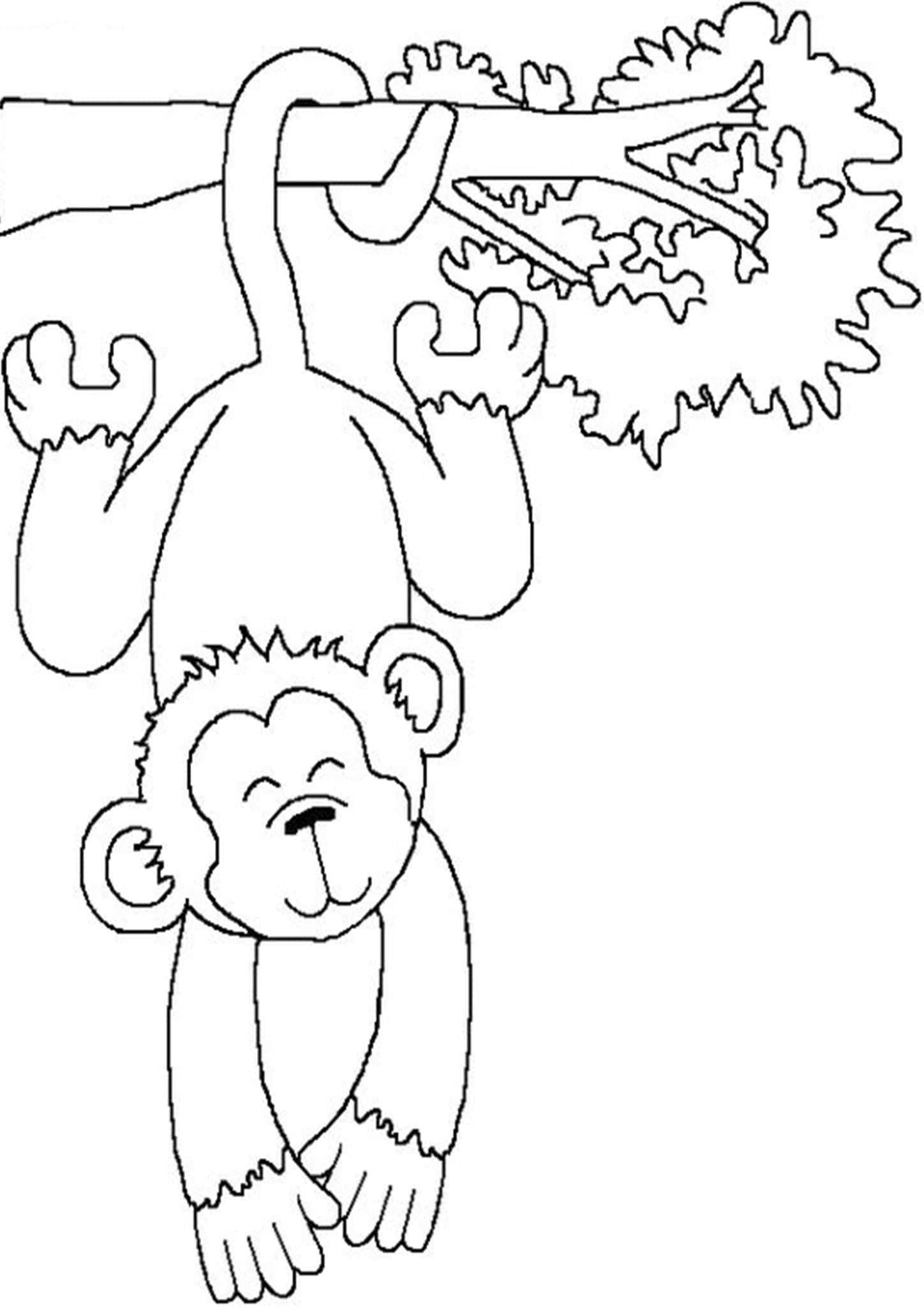 monkey printable pictures